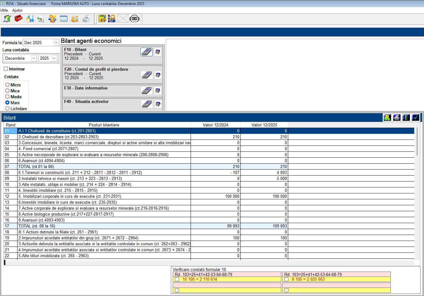 ROA Situații Financiare — Bilanț agenți economici