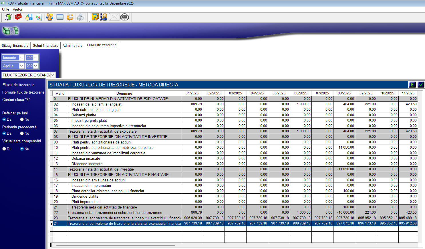 ROA Situații Financiare — Flux de trezorerie